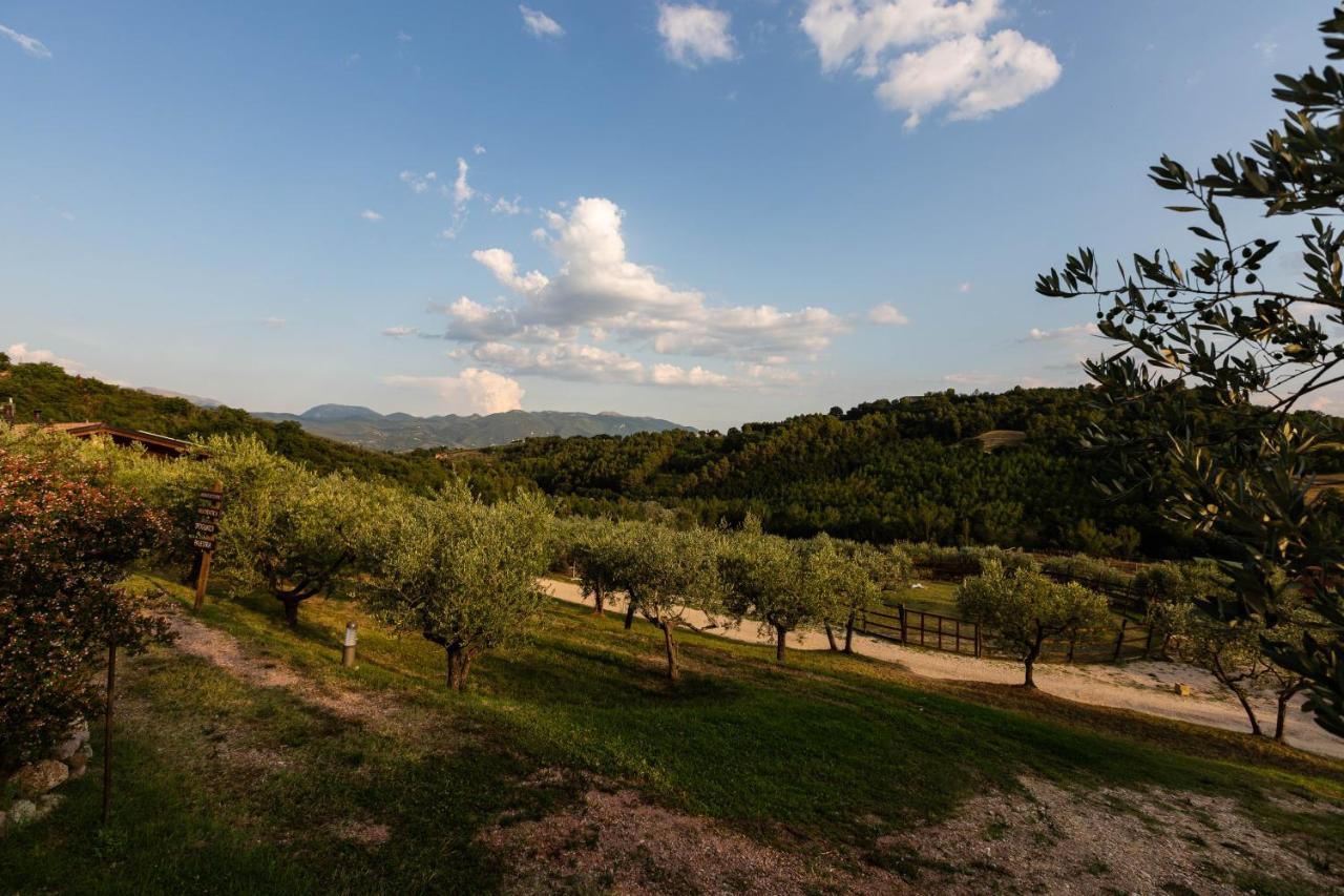 Agriturismo Agrileisuretime Σπολέτο Εξωτερικό φωτογραφία