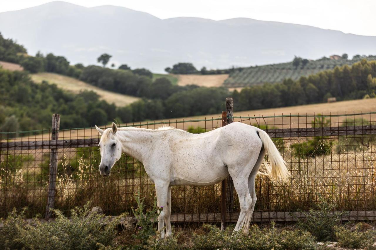 Agriturismo Agrileisuretime Σπολέτο Εξωτερικό φωτογραφία