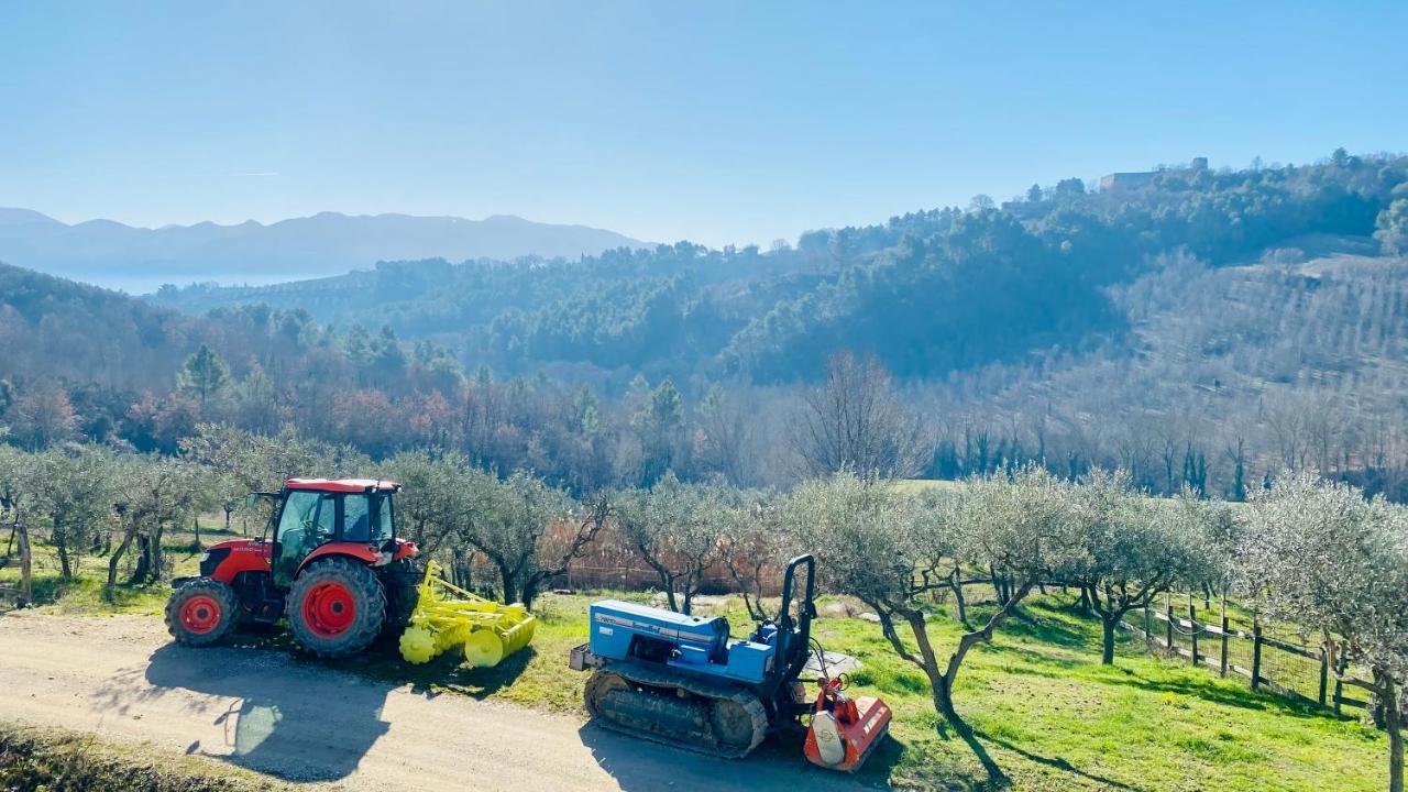 Agriturismo Agrileisuretime Σπολέτο Εξωτερικό φωτογραφία